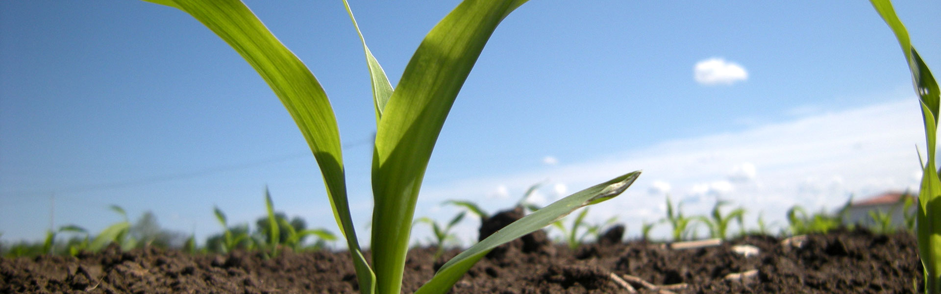 crop protection conference